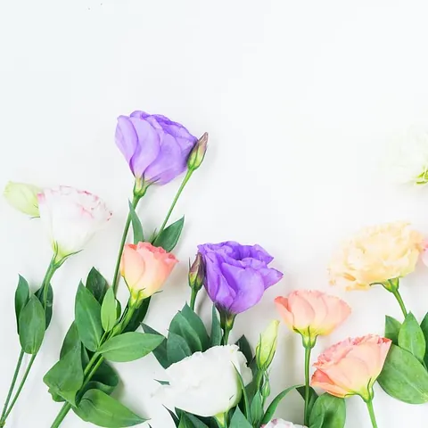 flores lilas y naranjas